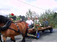 photo17_small.jpg